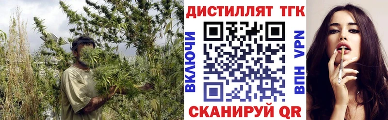 Купить закладки  Нелидово  Дистиллят ТГК концентрат 